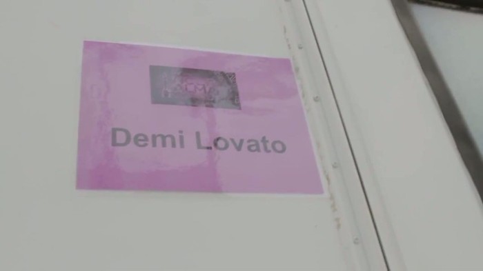 Demi Lovato - A Letter To My Fans... 166