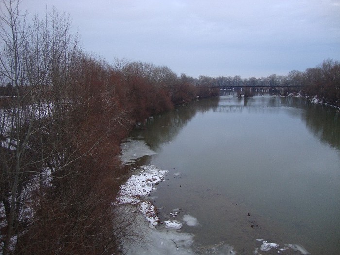  - Satu Mare