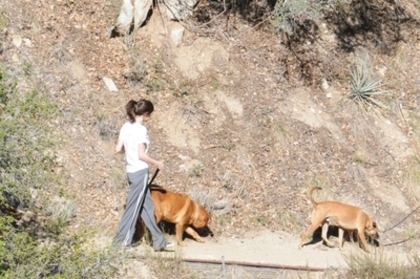 normal_selena6 - Hiking with Dogs