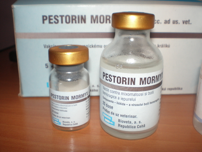 Vaccin Pestorin Mormyx - x-Medicamente necesare ingrijirii iepurilor de rasa