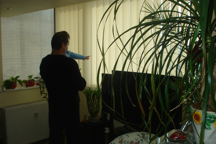 SA ASCULTAM IMNUL STELEI:)