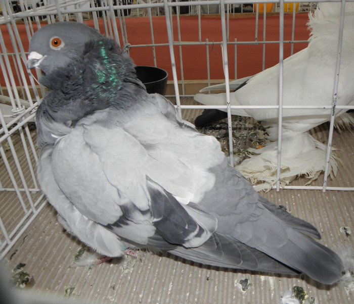 P1280083