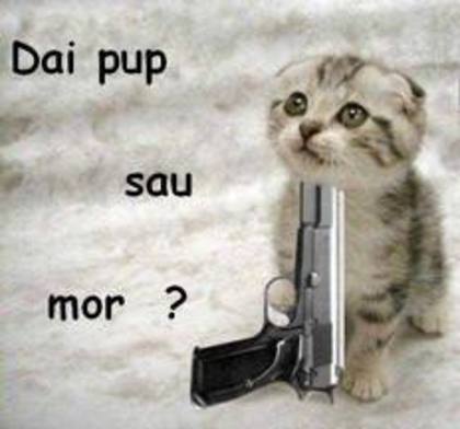 pupicul morti - funny super funny