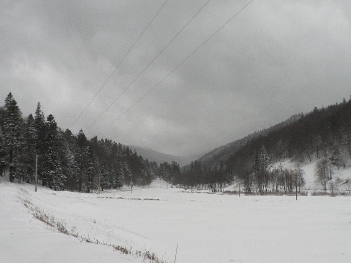 P1190029 - 2012 7-8 ianuarie - Excursie cu micutii la Diham