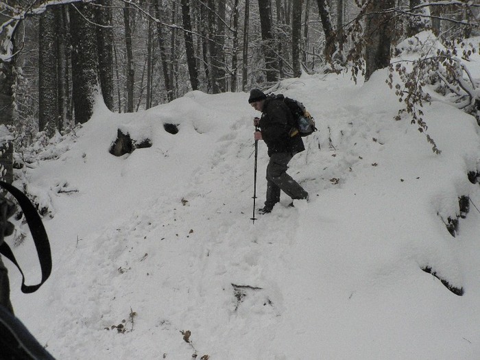 P1190089 - 2012 7-8 ianuarie - Excursie cu micutii la Diham
