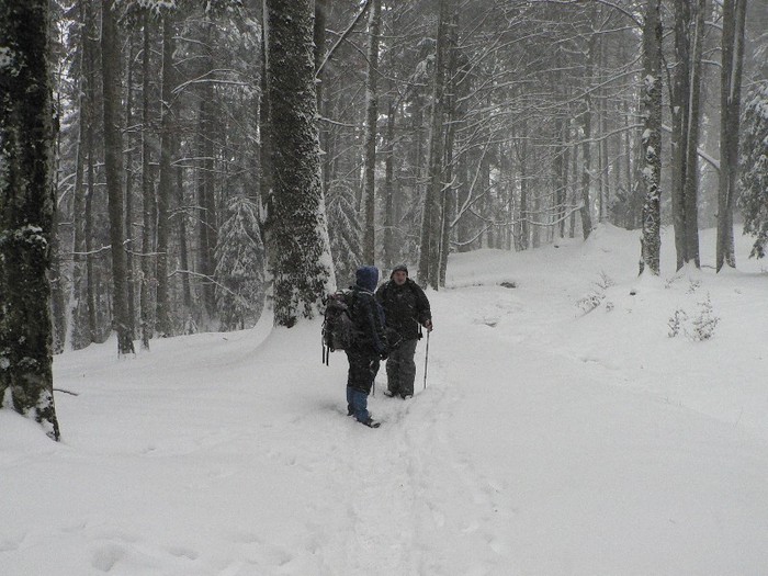 P1190097 - 2012 7-8 ianuarie - Excursie cu micutii la Diham