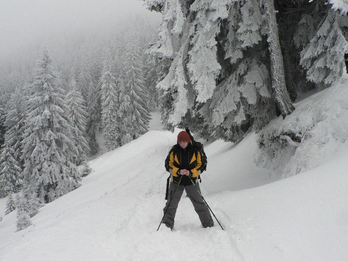 P1190176 - 2012 7-8 ianuarie - Excursie cu micutii la Diham
