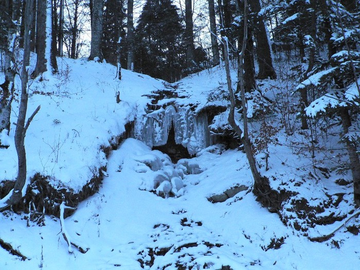 P1190240