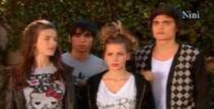 29013853_VHPYYSLGV - nini and flor