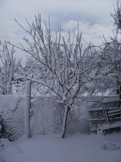 a venit iarna cu adevarat