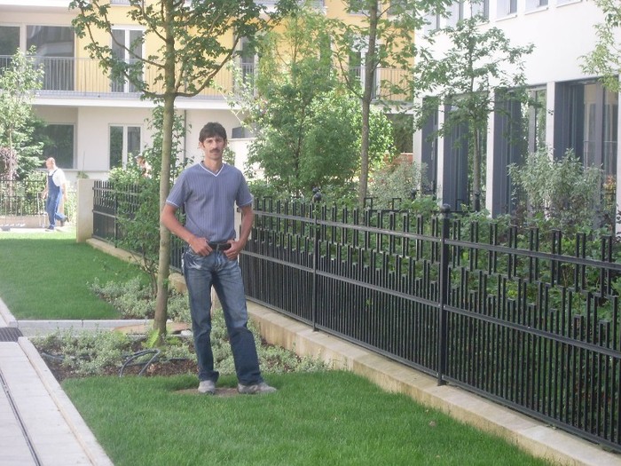 an germ - 9 poze diverse