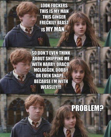 151 - Harry Potter si Camera Secretelor 2002