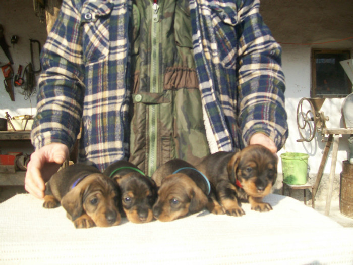 29 01 2012 016 - litera B din MAX si MAYA  2011