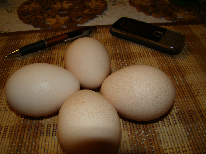 DSC02541; oua paunite - din iunie de vanzare pret 15 euro
