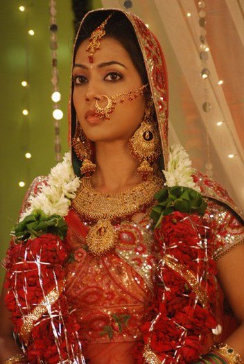 260058_225143494170980_109723285713002_855527_7120385_n