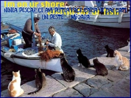 c019797b367aa0df34f9b3e04527abc4 - 3  B  ANIMALE  3