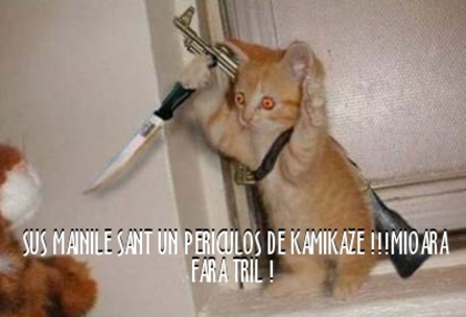 aa1bc38444cb38c44dc12c0a0eb5a148 - 3  B  ANIMALE  3