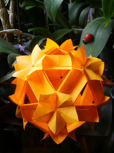 P4150312_resize - origami