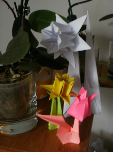 P4120267_resize - origami