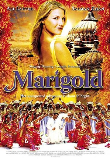 Marigold