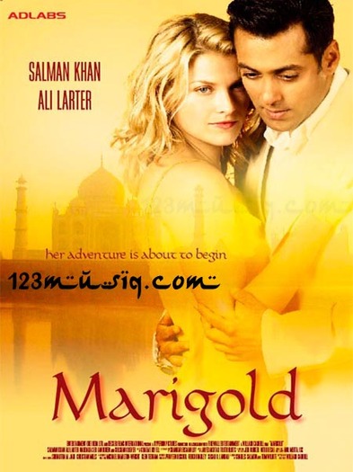 Marigold - x-Marigold-x