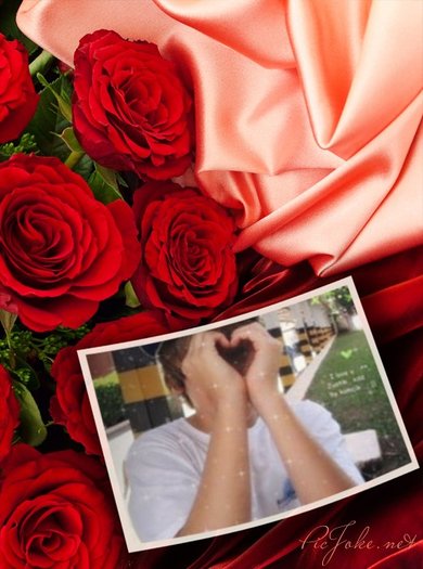 9-ro-c9d3bcd3c4269a0c76fab67922e61208