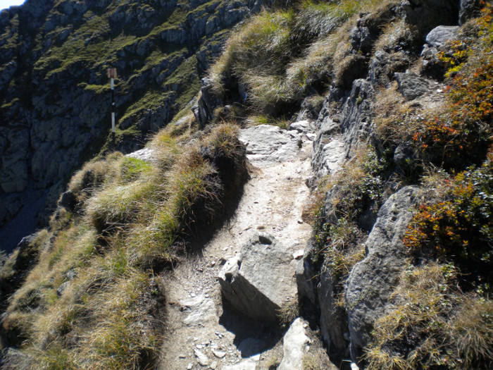 MUNTII FAGARAS- LACUL CALTUN 10.09.2011 (10)