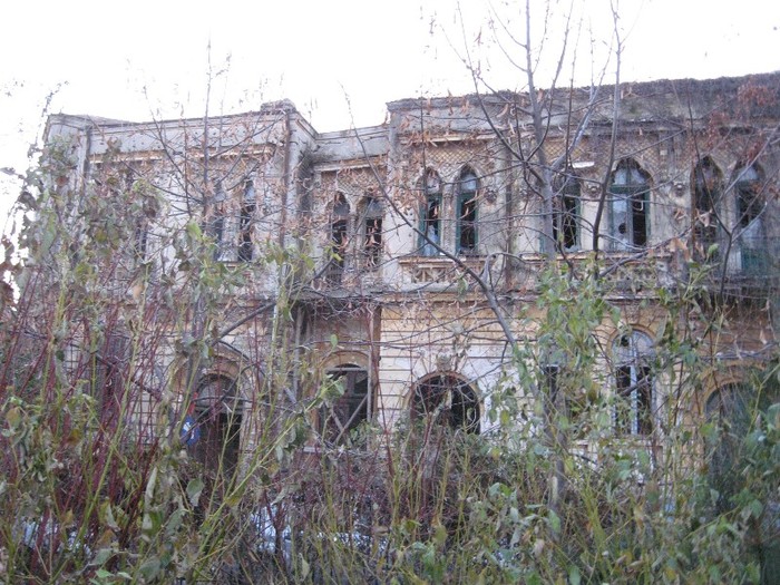 palat ce asteapta restaurarea ?