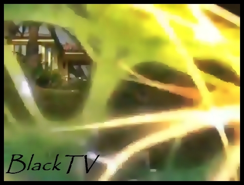 Intr-un final se dadura si ei jos din pat si mersera la micul dejun.