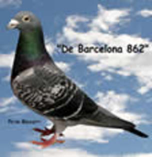 barcelona862_thumb2 - Maraton Sky