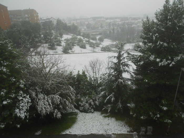 parcul din fata casei