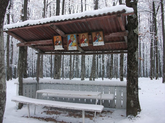 poze 510 - A sosit iarna