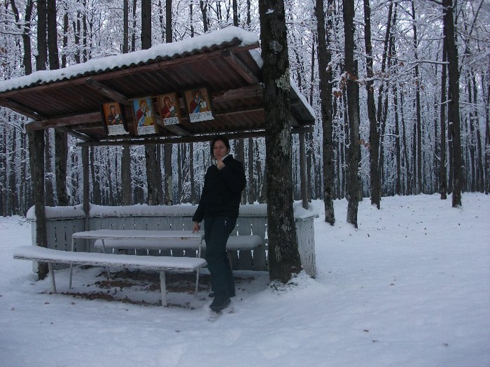 poze 514 - A sosit iarna