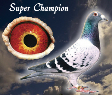 supercha; 1 Olympic Champion World       All Distances 2001 .
