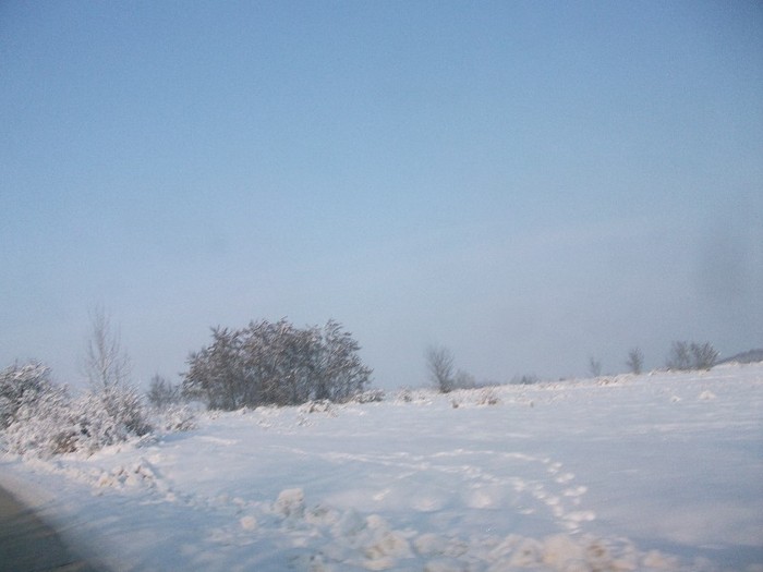 poze 733 - iarna iar