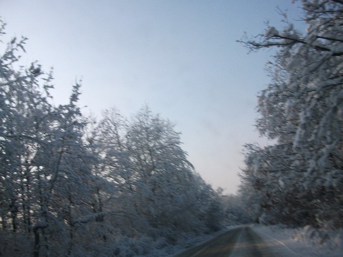 poze 744 - iarna iar