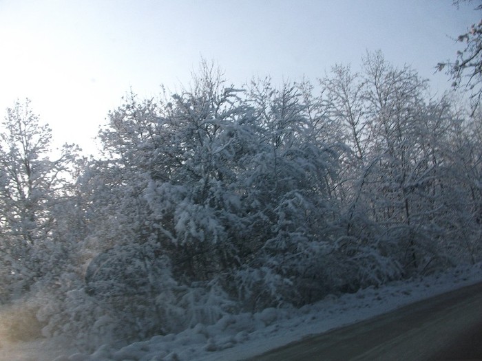 poze 747 - iarna iar