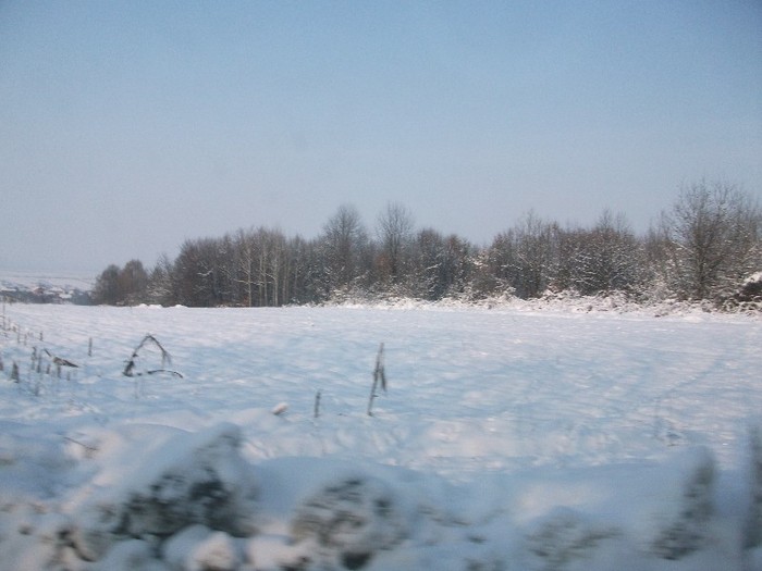 poze 758 - iarna iar