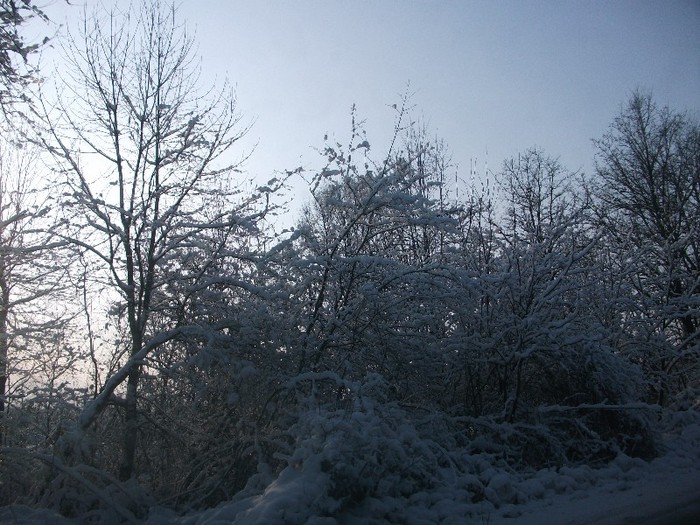 poze 763 - iarna iar