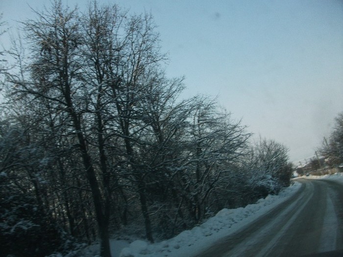poze 772 - iarna iar