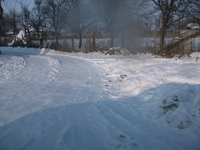 poze 776 - iarna iar