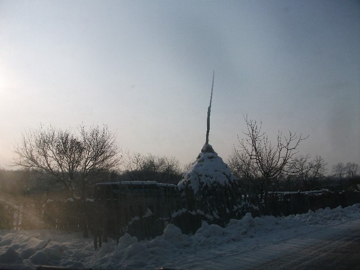 poze 777 - iarna iar