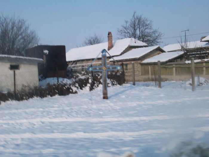 poze 782 - iarna iar