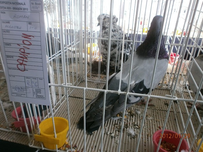 P1290172 - FACASR 2012