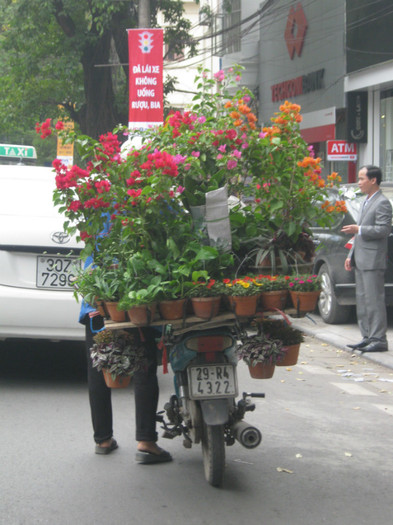 Cu floraria pe motoreta - Vietnam