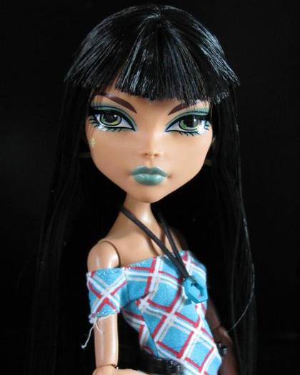 312503_279203252092059_241100399235678_1182412_545970767_n - monster high