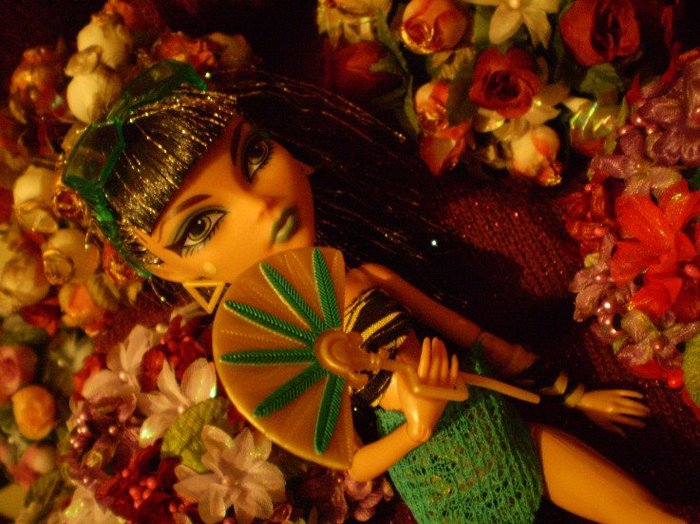 332785_278332365512481_629503801_o - monster high