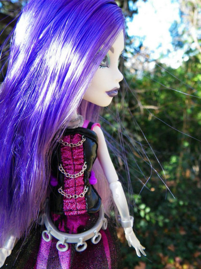397139_360875357258181_241100399235678_1455085_1798682978_n - monster high