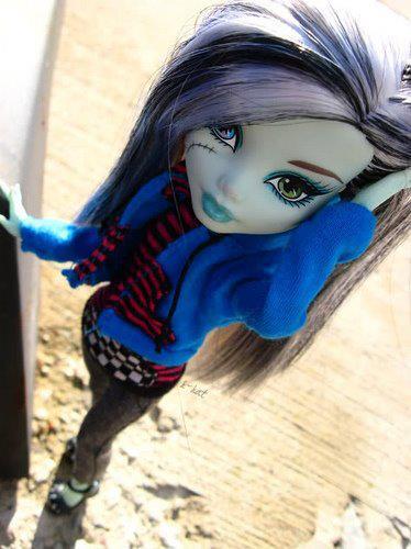 403046_343169765695407_241100399235678_1407763_573327697_n - monster high