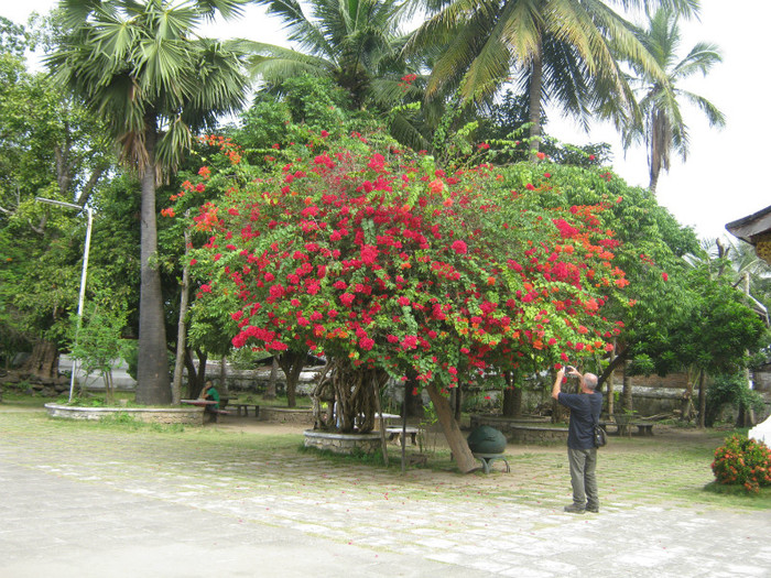 Prin complexul templului Xieng - Laos